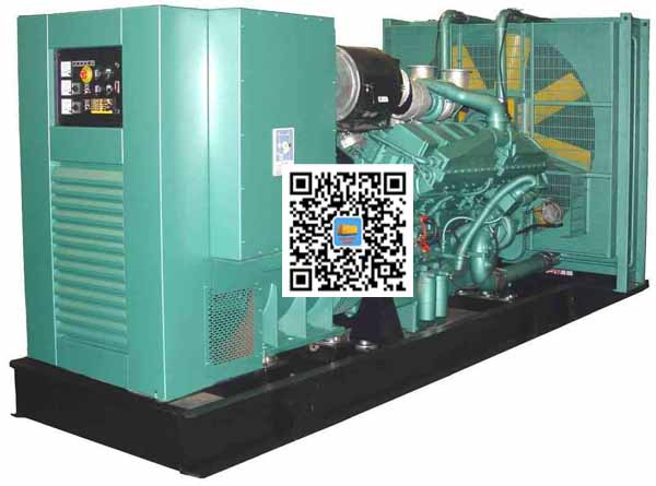 木里笼型异步发电机的电力电子控制技术